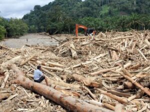 Read more about the article Banjir Sumatra: Enam Perusahaan Terancam Gugatan Hukum Akibat Kerusakan Lingkungan
